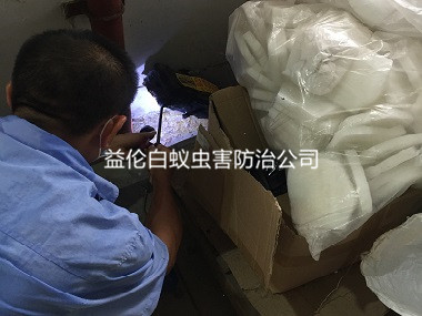 禅城华景苑小区白蚁防治